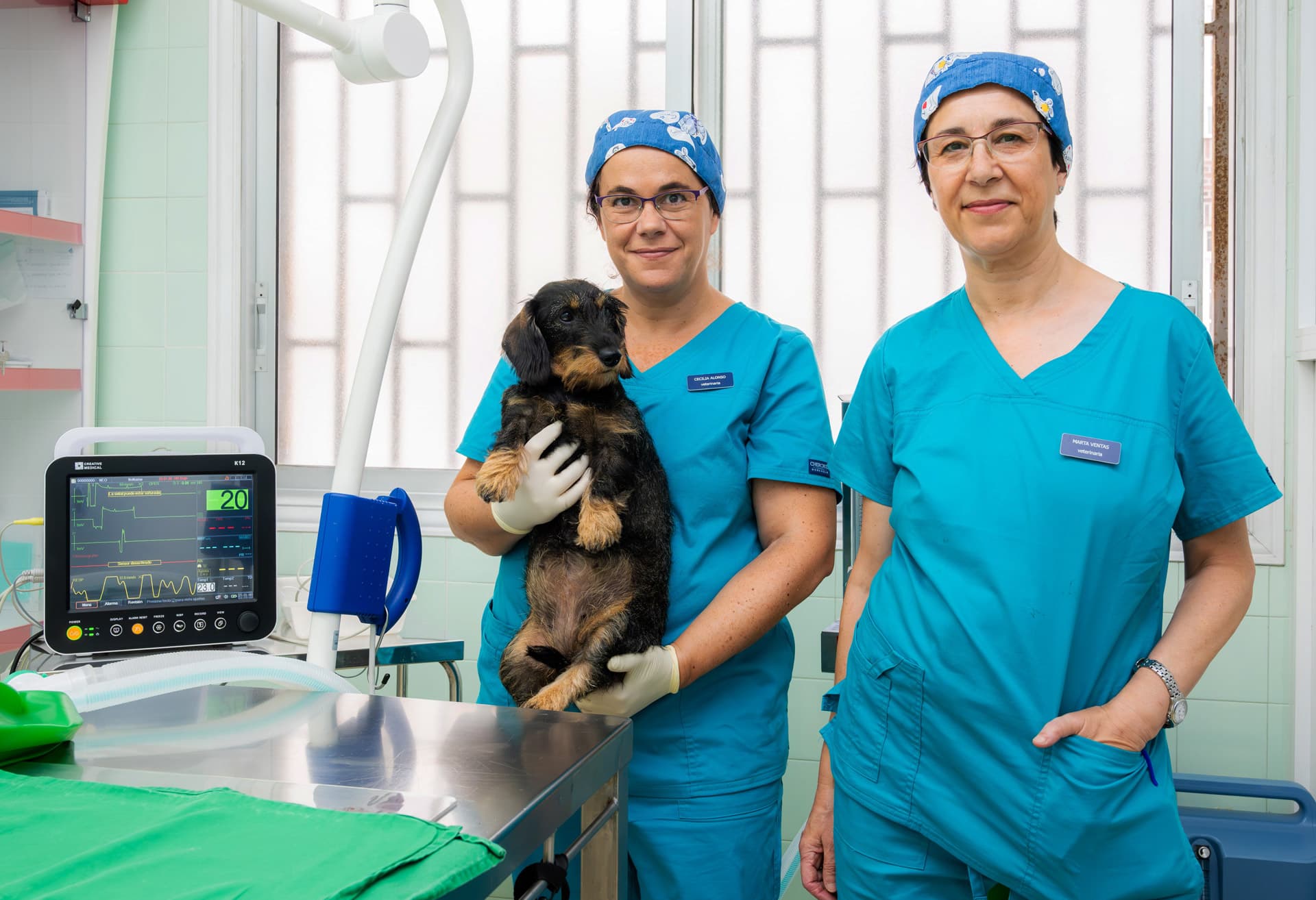 Cirugía veterinaria en Vigo