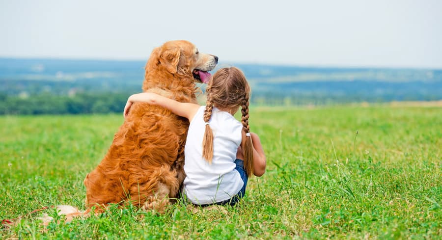 Preguntas y consejos de salud animal