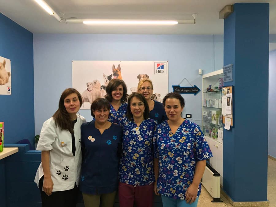 Profesionales del Centro Veterinario Pintor Colmeiro