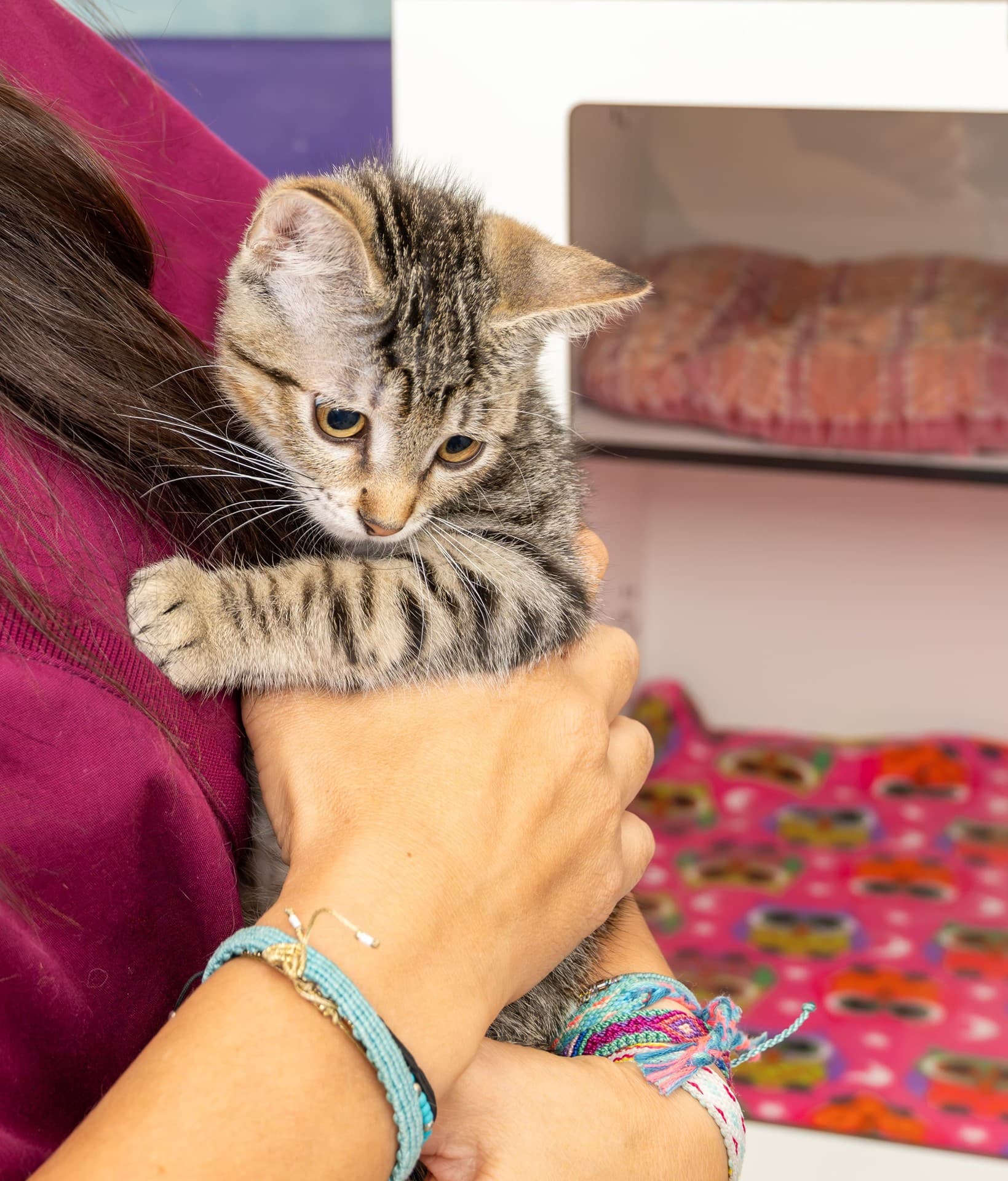 Centro veterinario especialista en una amplia variedad de servicios