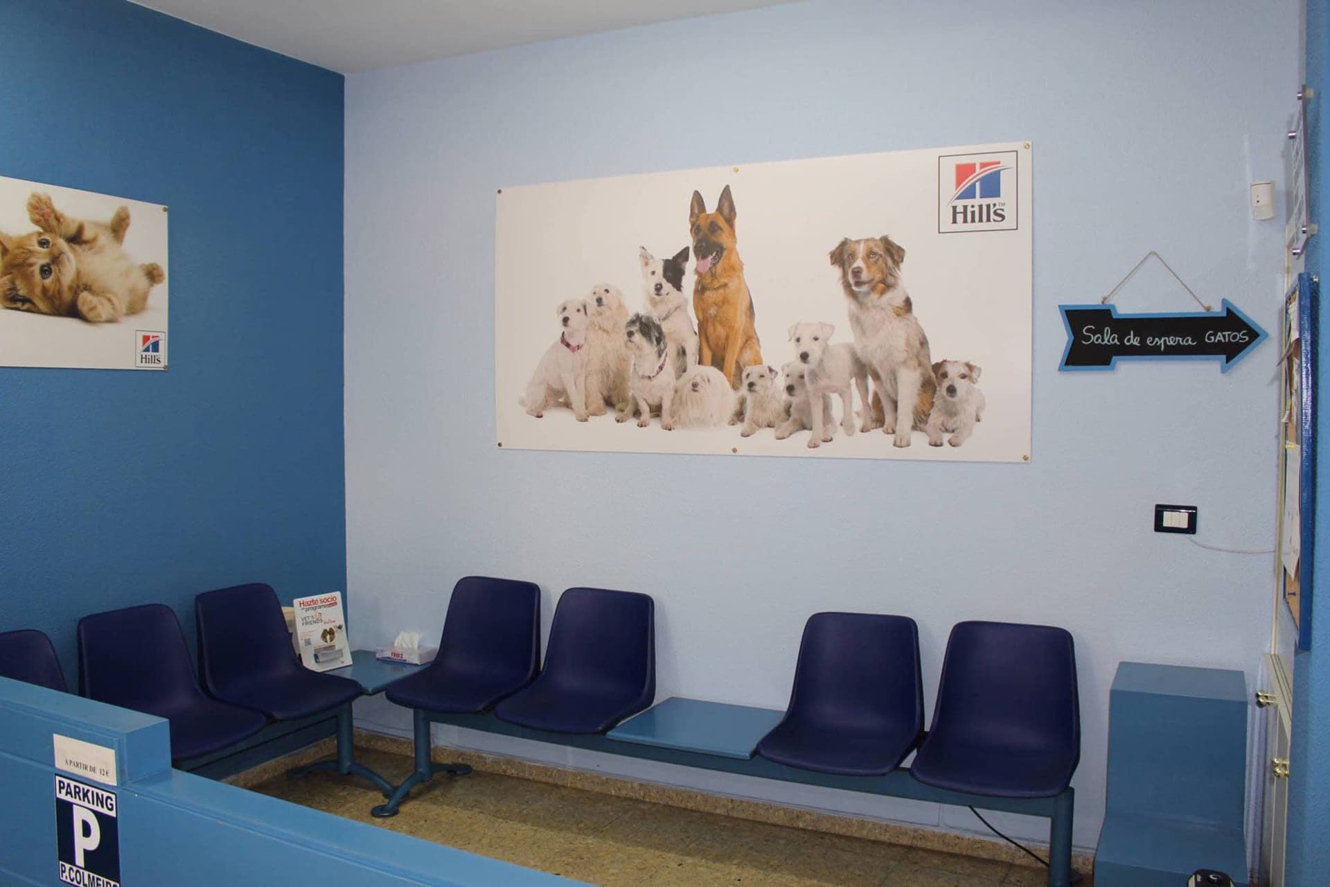 Instalaciones de Centro Veterinario